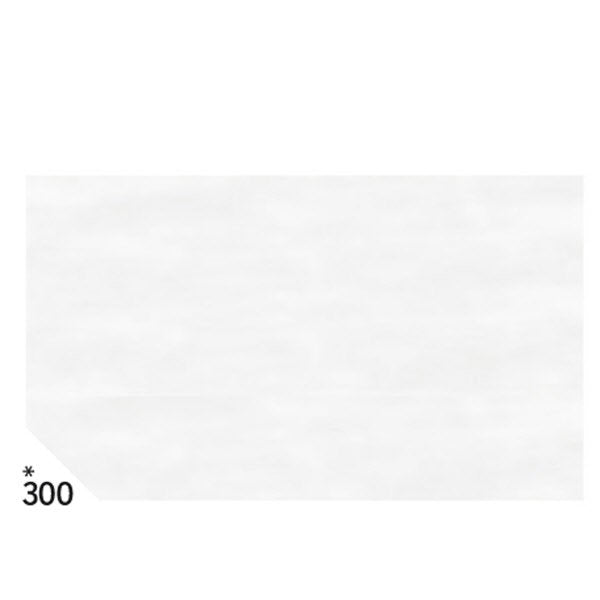Carta velina - 50 x 70cm - bianco - busta 26 fogli