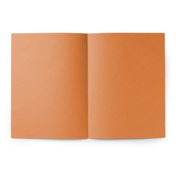 Cartelline semplici Pigna - Cartoncino - 145 g - con stampa - Arancio