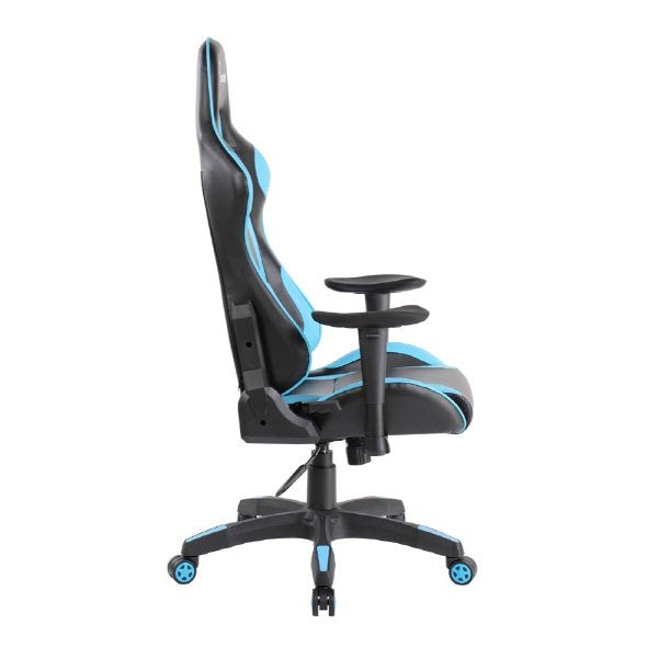 Professional Gaming