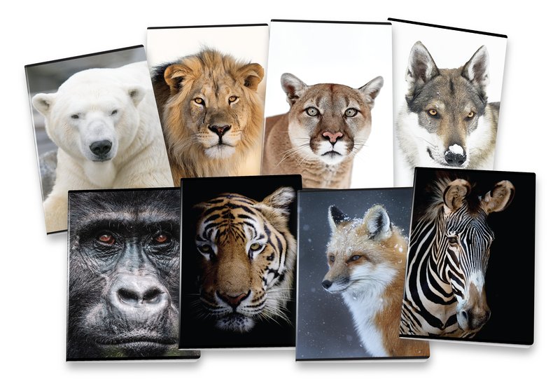 Maxiquaderni WILD 80g - 2025