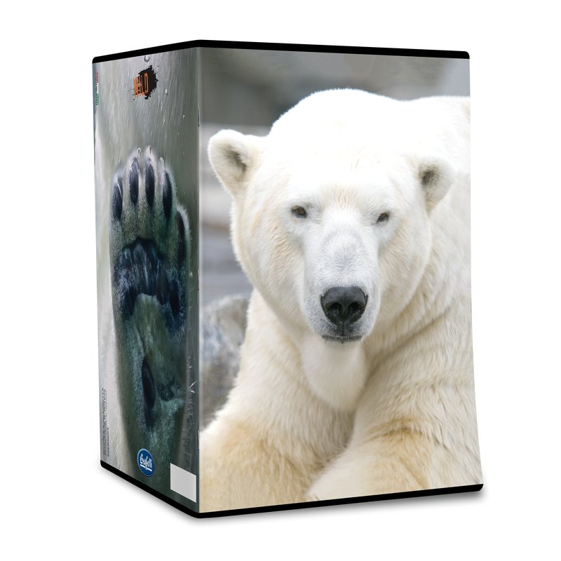 Maxiquaderno WILD - Rigatura 0B - Righe 3a elementare - 80 g - A4 - copertine assortite