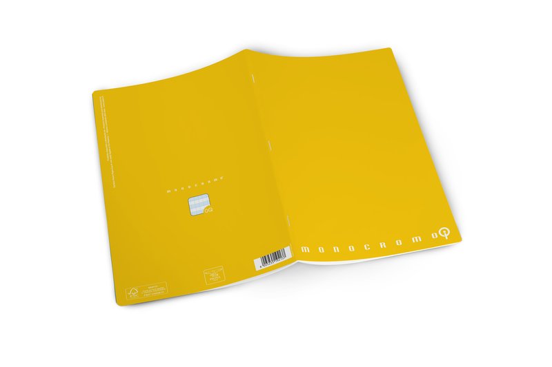 Maxiquaderno Monocromo QI DSA - Rigatura Q - Quadretto elementari e medie DSA - per disgrafia e dislessia