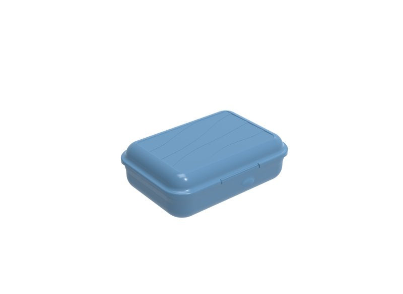 Contenitore con coperchio integrato + divisore - Fun Box 0,90L - blu