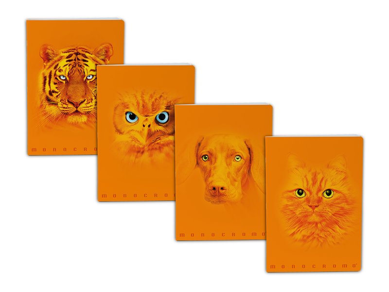 Maxiquaderno Monocromo Orange - rigatura 4M