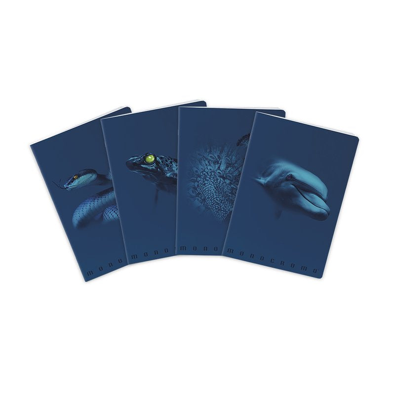 Maxiquaderno Monocromo Blue - rigatura 5M