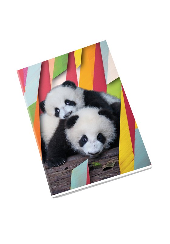 Maxiquaderno PUPPY - Rigatura 5M - Quadretto da 5mm - 80 g - A4 - copertine assortite