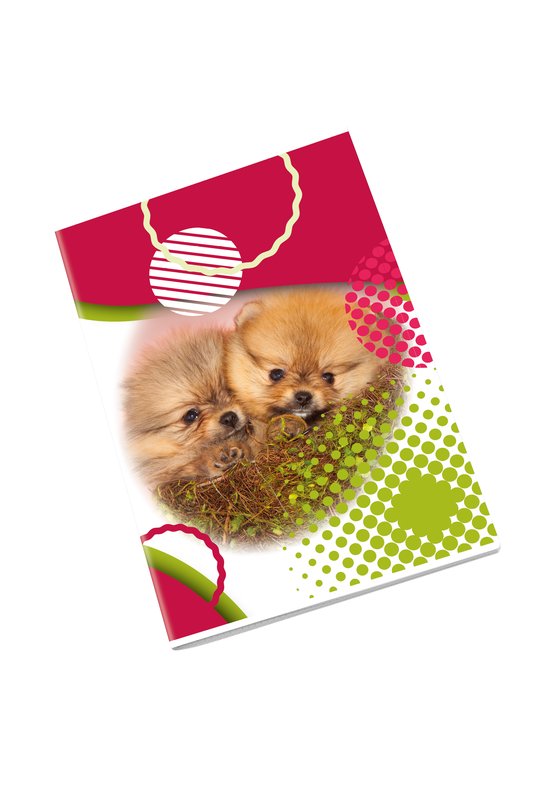 Maxiquaderno PUPPY - Rigatura 5M - Quadretto da 5mm - 80 g - A4 - copertine assortite
