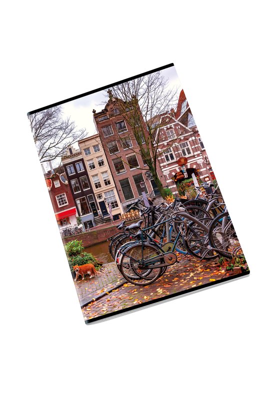 Maxiquaderno GEO - Rigatura 5M - Quadretto da 5mm - 80 g - A4 - copertine assortite