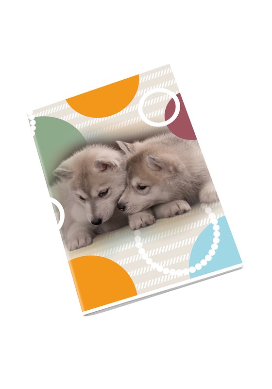 Maxiquaderno PUPPY - Rigatura 5M - Quadretto da 5mm - 80 g - A4 - copertine assortite