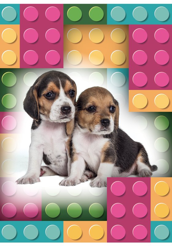 Maxiquaderno PUPPY - Rigatura 5M - Quadretto da 5mm - 80 g - A4 - copertine assortite