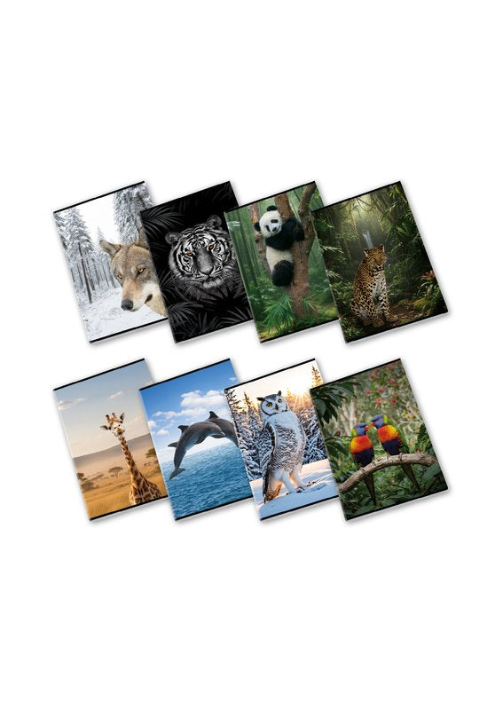 Maxiquaderno WILD - Rigatura 0A - Righe 1a e 2a elementare - 80 g - A4 - copertine assortite