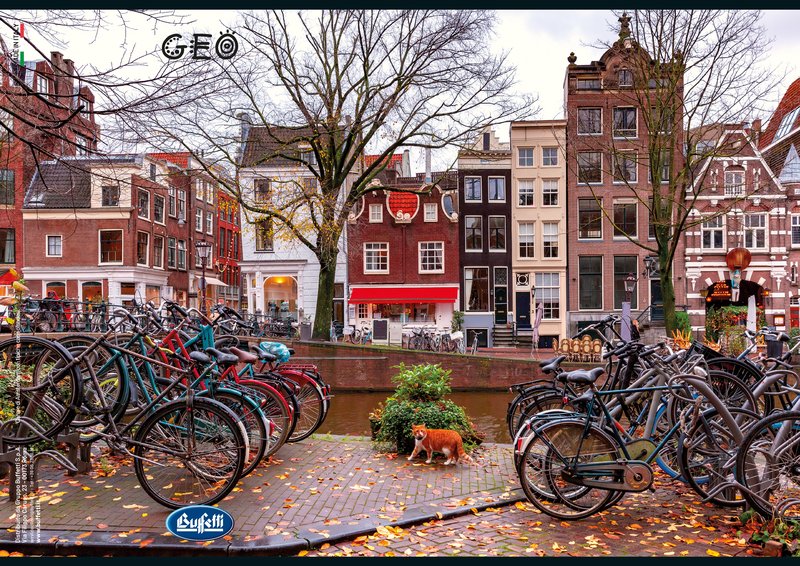 Maxiquaderno GEO - Rigatura 1R - Righe - 80 g - A4 - copertine assortite