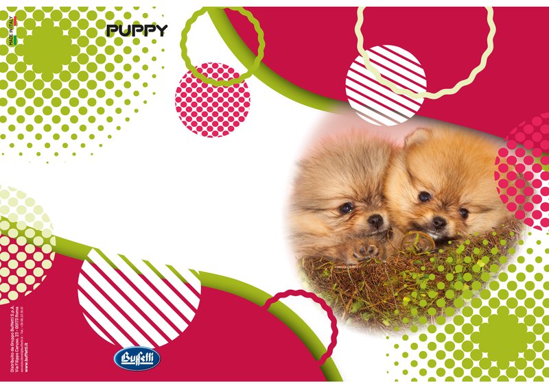 Maxiquaderno PUPPY - Rigatura 0B - Righe 3a elementare - 80 g - A4 - copertine assortite