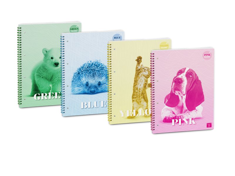 Blocco Spiralato con Fogli Colorati COLOR INSIDE