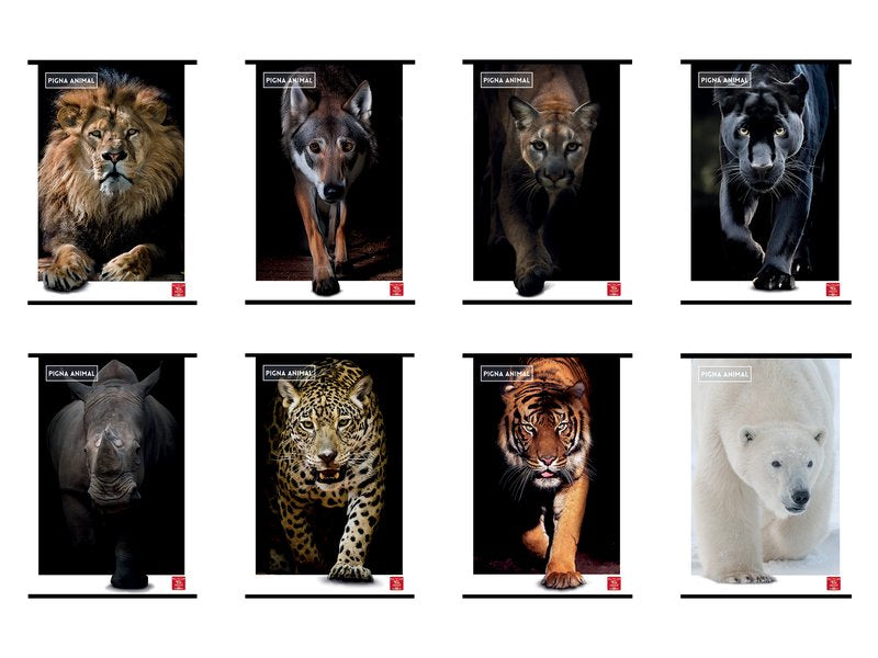 Maxi Quaderno Pigna Animal  - 1R - Righe