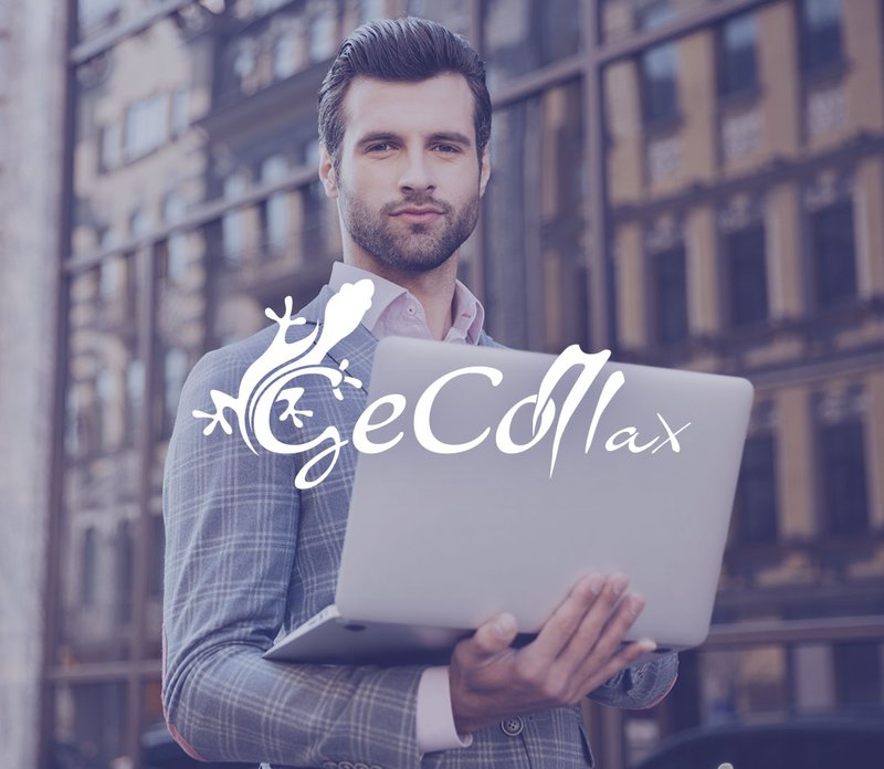 GeCoMax - Software Gestionale per Amministratori di Immobili