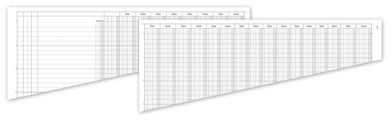 Registro Giornalmastro a 12 conti - 49 pagine prenumerate - 27x39,5 cm