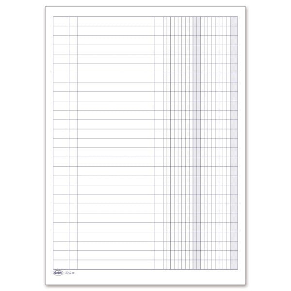 Registro 2 colonne con tracciato su pagina singola - 96 pagine - 29,7x21 cm