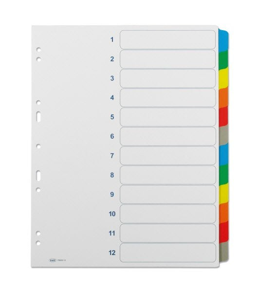 Divisori - Cartoncino - 12 tasti neutri colorati plastificati - A4 - bianco