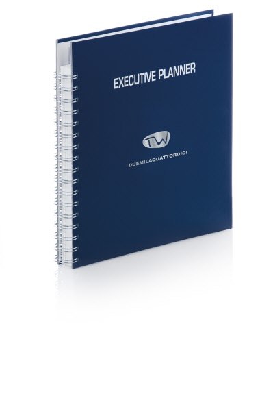 Planner giornaliero non datato 12 mesi multiappuntamenti - 24x22 cm - con spirale - blu