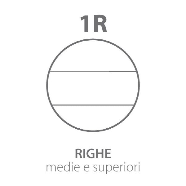 Maxiquaderno Monocromo Green - Rigatura 1R - Righe medie e superiori - 80 g - carta riciclata - A4 - copertine assortite