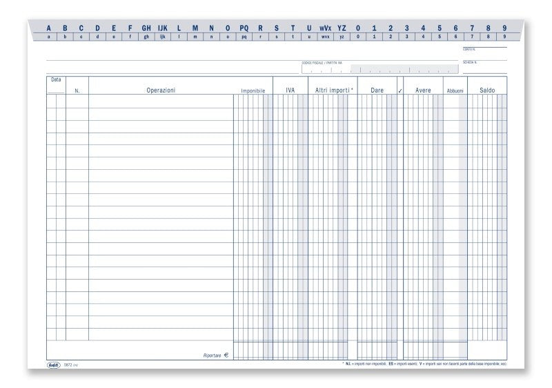 Scheda Dare/Avere/Saldo (in evidenza imponibile e IVA) con naselli A/Z - Scheda da 200 gr. - 21x29,7 cm