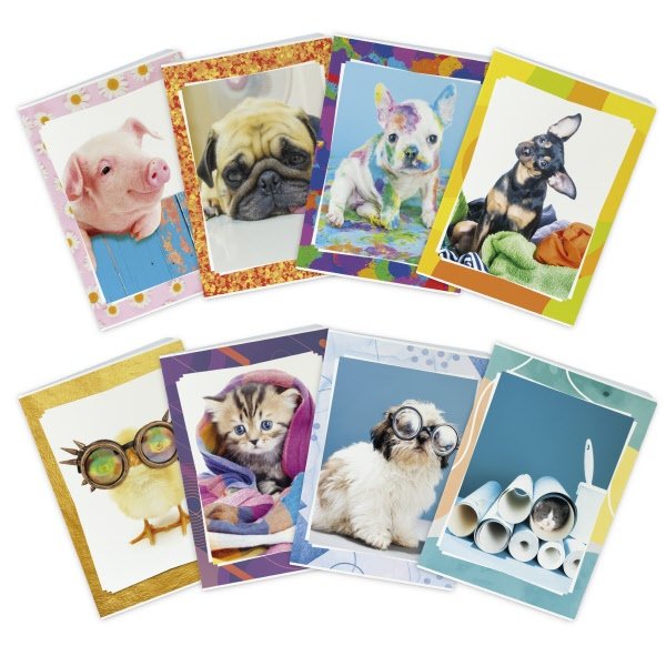 Maxiquaderno Puppy - Rigatura 4M - Quadretto elementari e medie - 80 g - A4 - copertine assortite