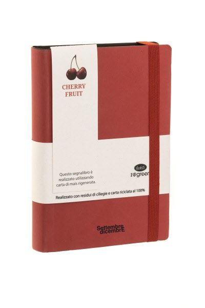 Agenda Accademica 16 mesi settembre-dicembre - tracciato misto giornaliera/settimanale in carta ecologica - interno  fisso -  2025/2026 - 11x16,5 cm - elastico di chiusura - ciliegia