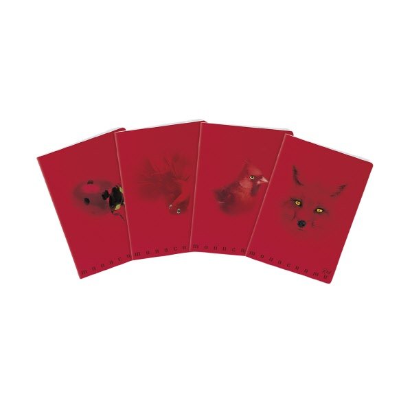 Maxiquaderni Monocromo Red - Rigatura C - Righe 4a e 5a elementare - 100 g - copertine assortite
