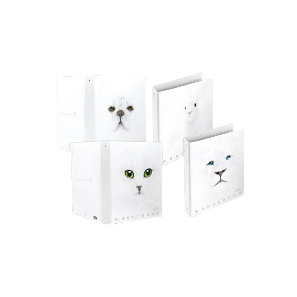 Cartella ad Anelli A4 Monocromo White  4 Anelli  27X32 - Formato 27x32 - Formato anelli 30 mm - Formato utile A4 - Colori assortiti